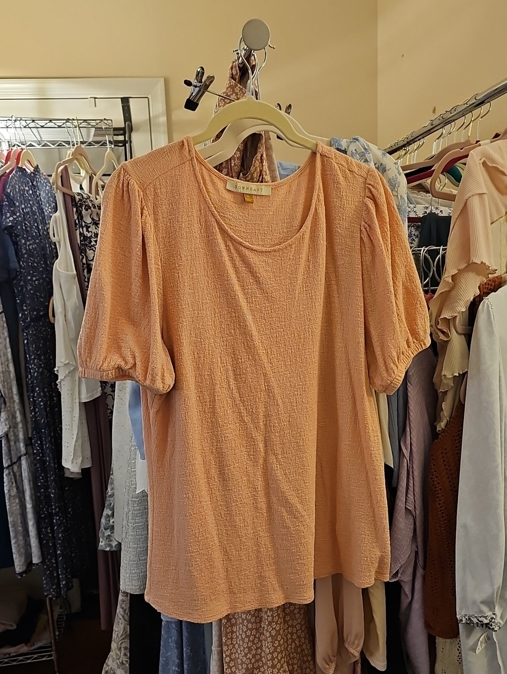 DownEast Peach Short Puff-Sleeve Blouse
